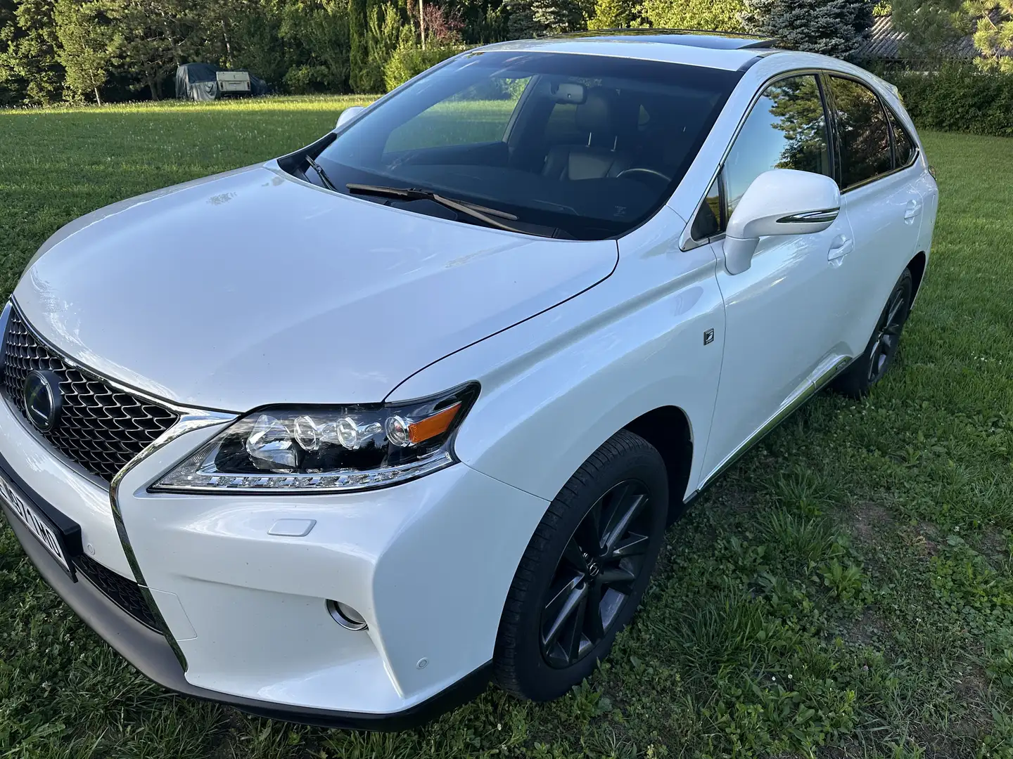Lexus RX 450h 4WD Hybrid Blanc - 1