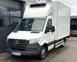Mercedes-Benz Sprinter 516 CDI RWD L2 // LBW // KÜHLAUFBAU // 31.658,- Weiß - thumbnail 1