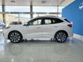 Ford Kuga 2.5 Duratec FHEV ST-Line X 4x2 Aut. Blanco - thumbnail 8