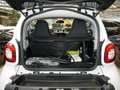 smart forTwo EQ  22KW SHZ Weiß - thumbnail 11
