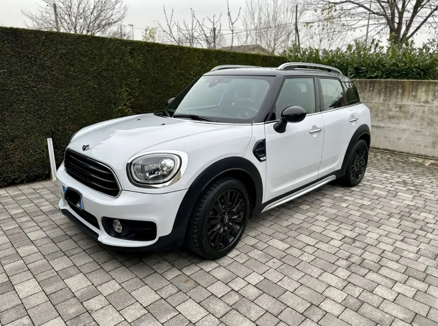 MINI Countryman D Business Blanco - 1