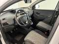 Lancia Ypsilon Ypsilon 1.0 firefly hybrid Silver s&s 70CV x Neop. Argento - thumbnail 9