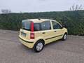 Fiat Panda 1.2 Dynamic Gpl - thumbnail 6