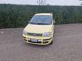 Fiat Panda 1.2 Dynamic Gpl - thumbnail 1