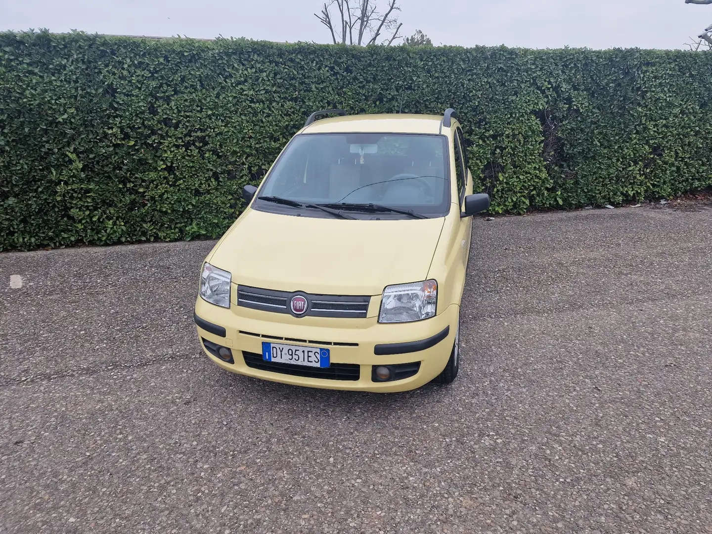 Fiat Panda 1.2 Dynamic Gpl - 1