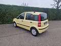 Fiat Panda 1.2 Dynamic Gpl - thumbnail 8