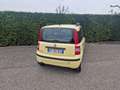 Fiat Panda 1.2 Dynamic Gpl - thumbnail 5