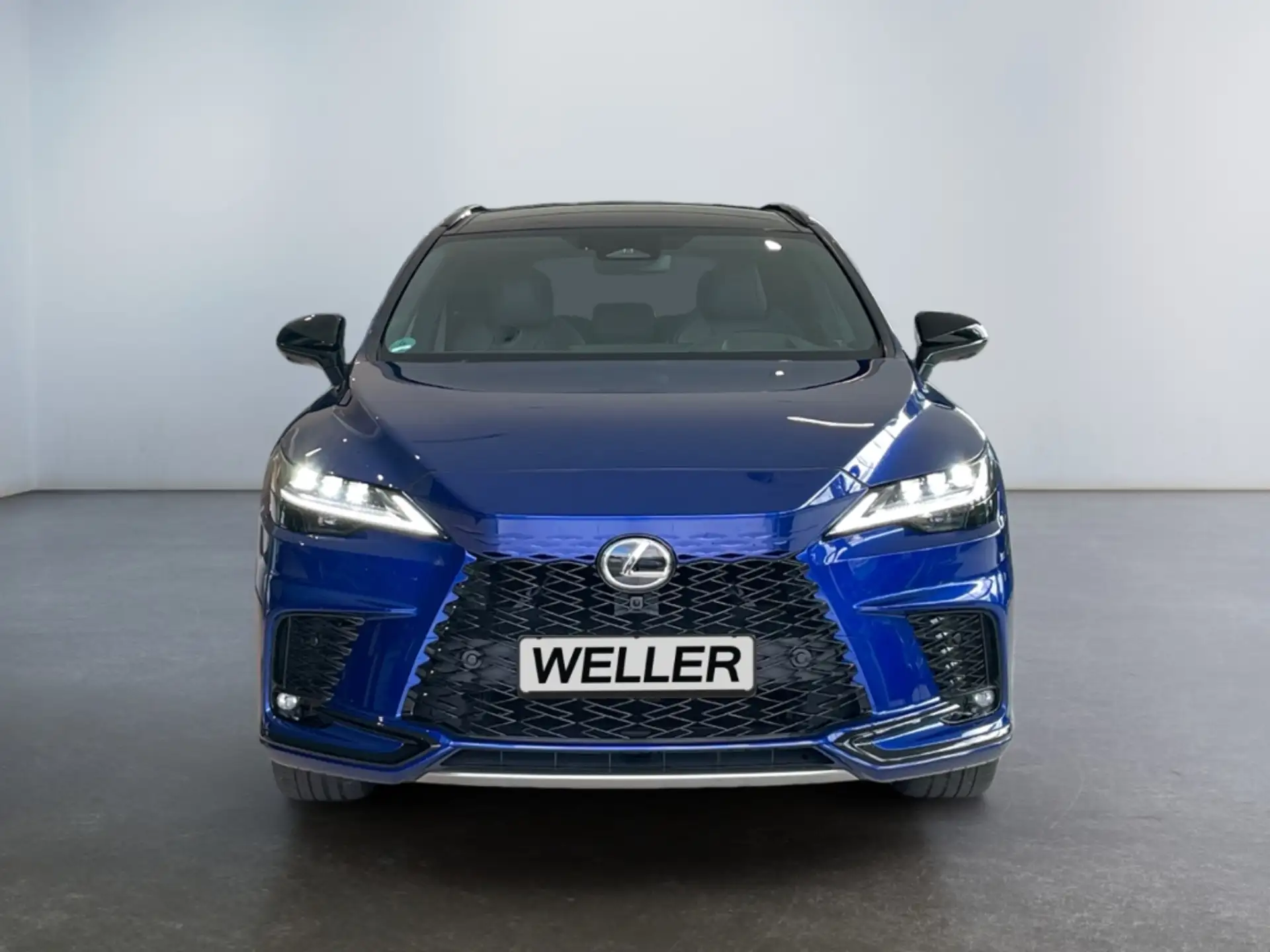Lexus Others 2025 파랑 사진 2