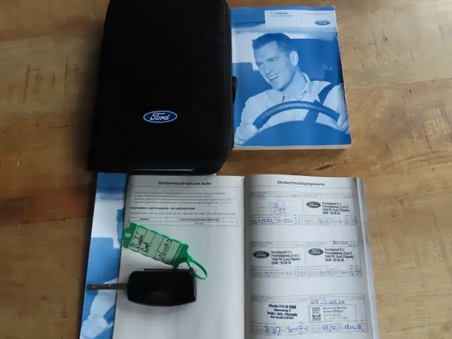 Ford Fiesta view 18