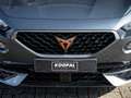 CUPRA Formentor 1.4 e-Hybrid Business | Matrix LED | Copper | ACC Gris - thumbnail 14