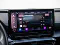 CUPRA Formentor 1.4 e-Hybrid Business | Matrix LED | Copper | ACC Grau - thumbnail 36
