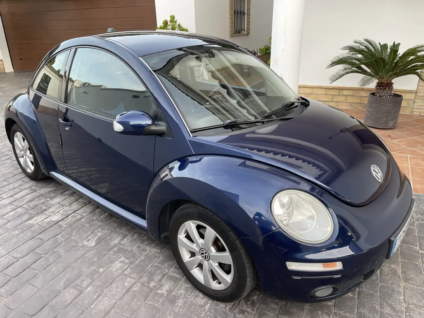 Volkswagen New Beetle Azul - 1