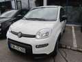 Fiat Panda 1.0 GSE Hybrid Weiß - thumbnail 1