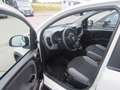 Fiat Panda 1.0 GSE Hybrid Weiß - thumbnail 2
