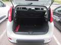Fiat Panda 1.0 GSE Hybrid Weiß - thumbnail 5