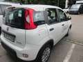 Fiat Panda 1.0 GSE Hybrid Weiß - thumbnail 6