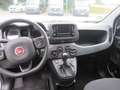 Fiat Panda 1.0 GSE Hybrid Weiß - thumbnail 3