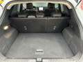 Ford Puma 1.0 EcoBoost Hybrid Titanium X Tech-Edition 125pk, Wit - thumbnail 11
