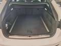Audi A6 A6 Avant 45 3.0 TDI quattro ultra S tronic Busine Bianco - thumbnail 8