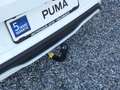 Ford Puma Gen-E +AHK+Winterp.+Komfortp.+Fahrassistenzp Weiß - thumbnail 26