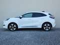 Ford Puma Gen-E +AHK+Winterp.+Komfortp.+Fahrassistenzp Weiß - thumbnail 9