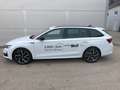 Skoda Octavia Sportline TSI mHEV DSG Weiß - thumbnail 3