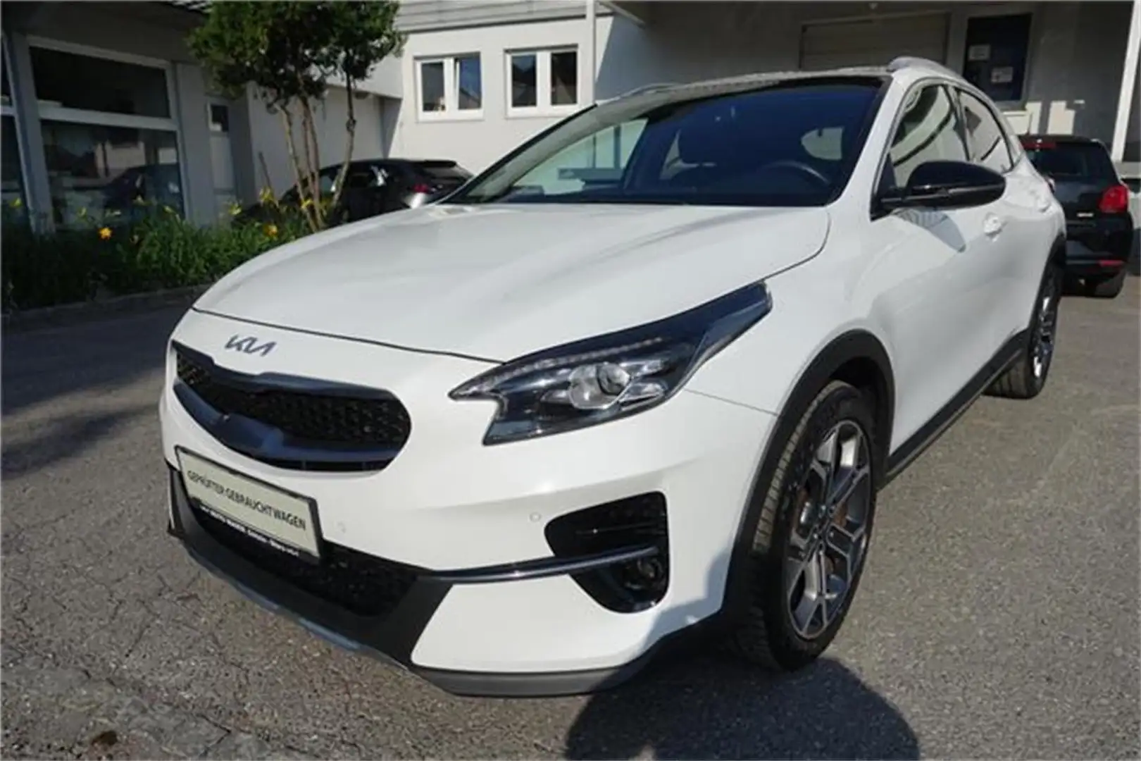 Kia XCeed Xceed 1,6 CRDI 48V Platin DCT Weiß - 1