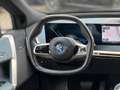 BMW iX xDrive40 Sportpaket 22" AHK DA/LC Prof. AHK Blu/Azzurro - thumbnail 13