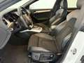 Audi A5 2.0 TDI quattro S-Tronic 3xS-LINE / LED / SITZHZG Weiß - thumbnail 8