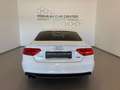 Audi A5 2.0 TDI quattro S-Tronic 3xS-LINE / LED / SITZHZG Weiß - thumbnail 5