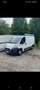 Fiat Ducato Ducato 30 L1H1 115 Multijet - thumbnail 6