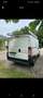 Fiat Ducato Ducato 30 L1H1 115 Multijet - thumbnail 5