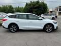 Ford Focus 1.5 EcoBlue 120 CV automatico SW Active Co-Pilot Bianco - thumbnail 5