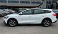 Ford Focus 1.5 EcoBlue 120 CV automatico SW Active Co-Pilot Bianco - thumbnail 6