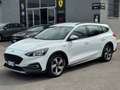 Ford Focus 1.5 EcoBlue 120 CV automatico SW Active Co-Pilot Bianco - thumbnail 7