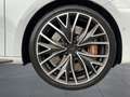 CUPRA Leon Sportstourer VZ 2.0 TSI DSG LED DCC KAMERA Weiß - thumbnail 11