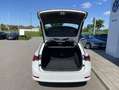 Skoda Octavia Combi 2.0 TDI DSG First Edition AHK+17"+ Weiß - thumbnail 12