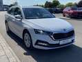 Skoda Octavia Combi 2.0 TDI DSG First Edition AHK+17"+ Weiß - thumbnail 6