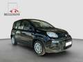 Fiat Panda 1.0 Hybrid Schwarz - thumbnail 5