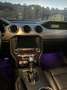 Ford Mustang NO SUOERBOLLOMustang Fastback 5.0 ti-vct V8 GT Grigio - thumbnail 7