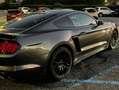 Ford Mustang NO SUOERBOLLOMustang Fastback 5.0 ti-vct V8 GT Grigio - thumbnail 4