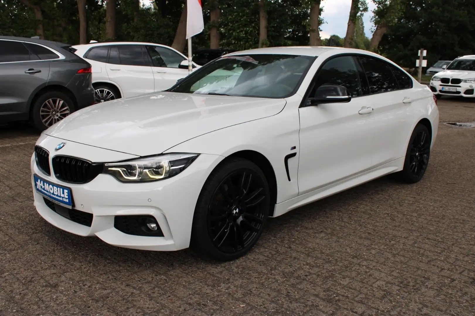 BMW 420 420 GranCoupé xD M Sport Aut.NaviProf LED Kamera Weiß - 1