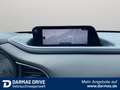 Mazda CX-30 CX-30 2,0 SKYACTIV-G Automatik "Selection" - thumbnail 15