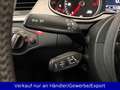 Audi A4 allroad A4 2.0 TDI Allroad quattro Automatik Xenon Pano Weiß - thumbnail 16