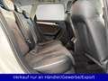 Audi A4 allroad A4 2.0 TDI Allroad quattro Automatik Xenon Pano Weiß - thumbnail 12