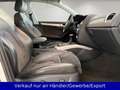 Audi A4 allroad A4 2.0 TDI Allroad quattro Automatik Xenon Pano Weiß - thumbnail 14