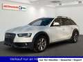 Audi A4 allroad A4 2.0 TDI Allroad quattro Automatik Xenon Pano Weiß - thumbnail 1