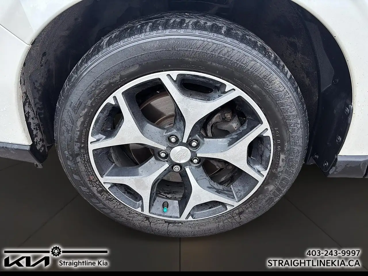 Subaru Forester fotografie Subaru Forester