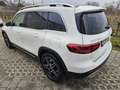 Mercedes-Benz GLB 220 GLB 220 d Aut. Weiß - thumbnail 6