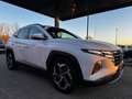 Hyundai TUCSON Trend Plug-In Hybrid 4WD "1 Hand" HU/AU" Weiß - thumbnail 5